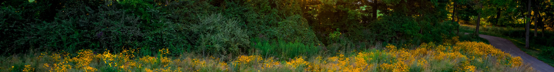 Centerville Oh Shutterstock 1492810643